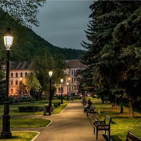 Tampa & * Brasov