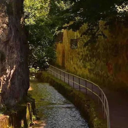 Downtown Luxury Segment Apartment *