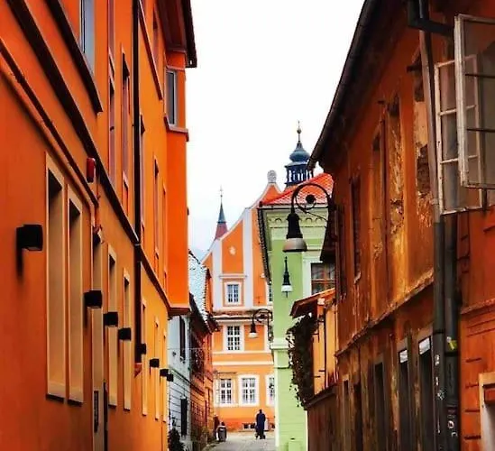 Downtown Luxury Segment 公寓 *