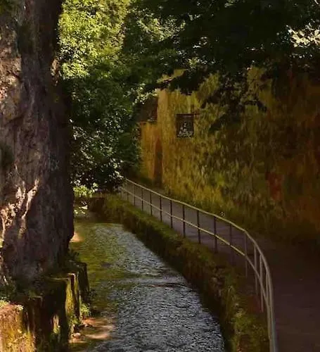 Downtown Luxury Segment 公寓 *